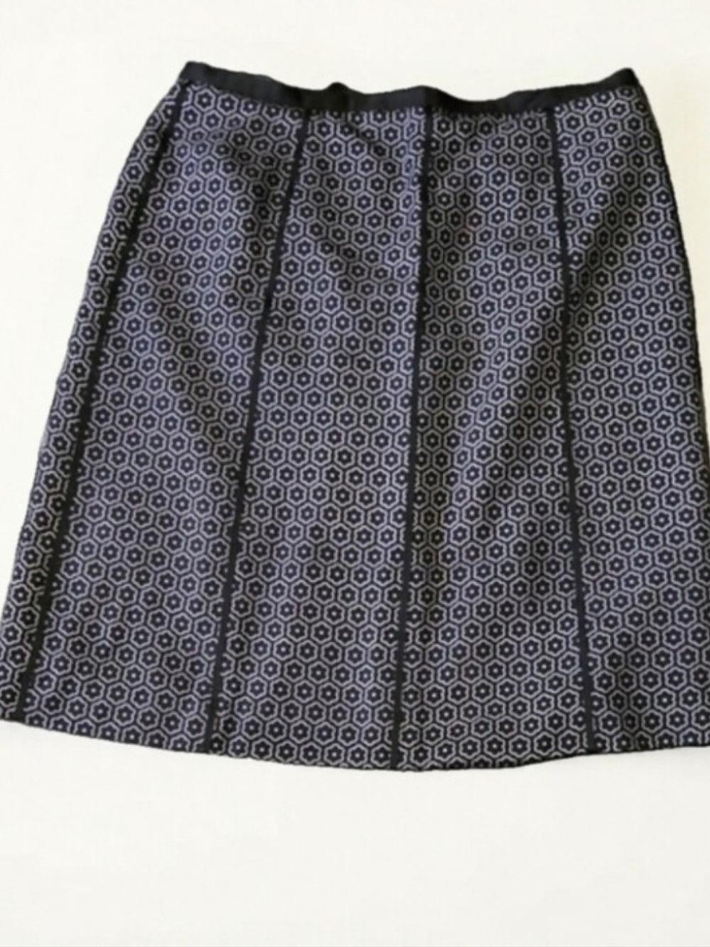 Ann Taylor Petite 100% Silk Floral A-Line Skirt Black White 10P
